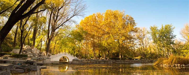 北京航空航天大学校园