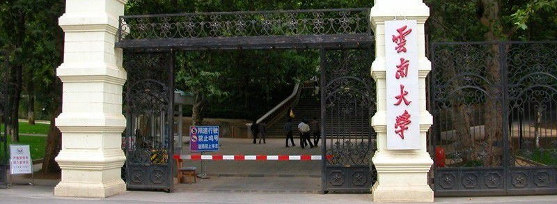 云南大学校门 云南大学校门